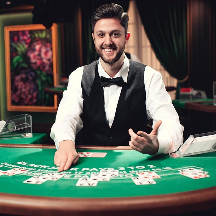 Casino Grade 1-Deck Blackjack Dealer Shoe for Party Family Poker Card Games 